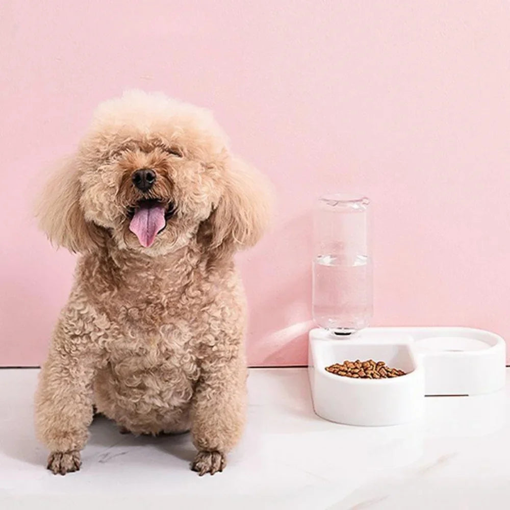 AEDG Automatic Pet Feeder and Water Bowl for Cats and Dogs