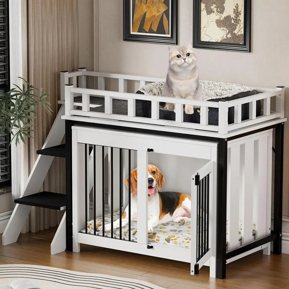 Dog Window Perch Bunk Bed With Stairs And Indoor Storage