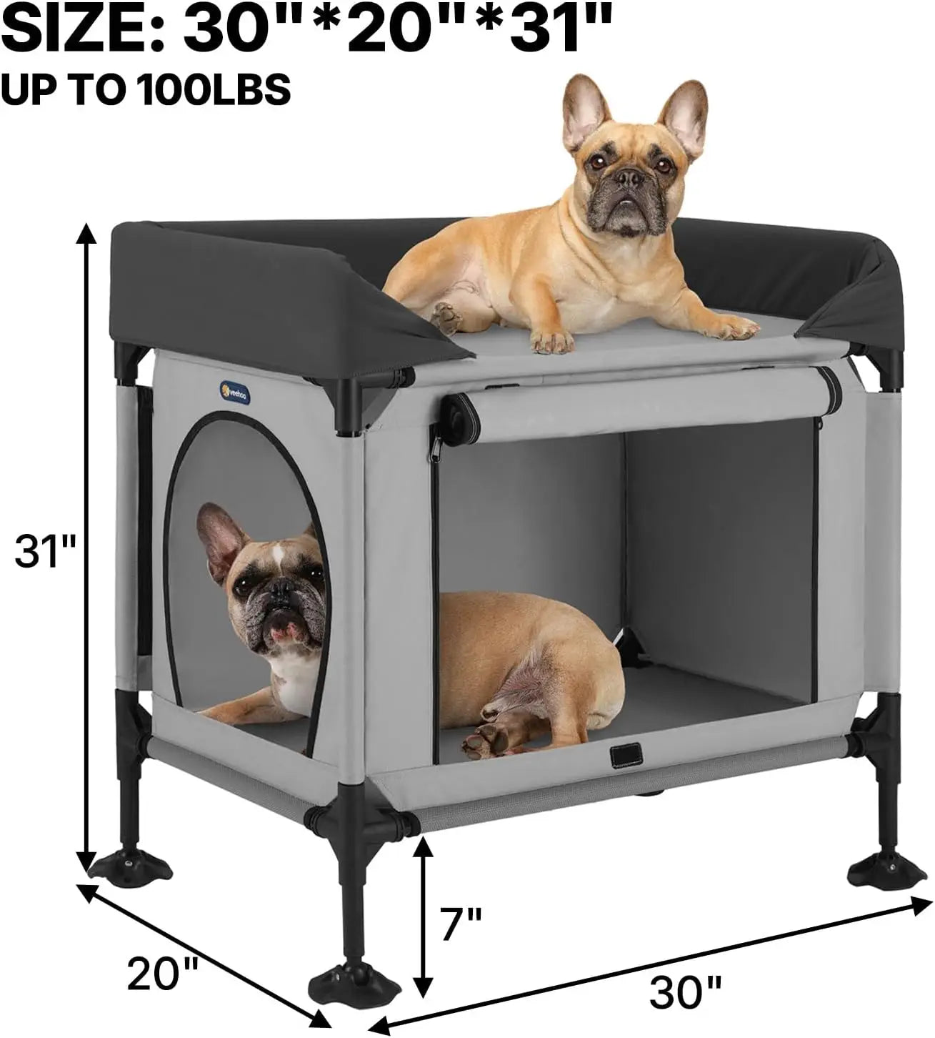 Elevated Pet Bunk Bed For Dogs And Cats Window Perch