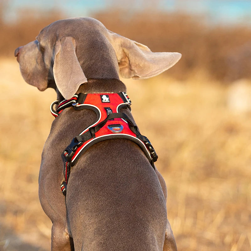 TRUELOVECN Truelove Reflective Nylon Dog Harness No Pull Adjustable