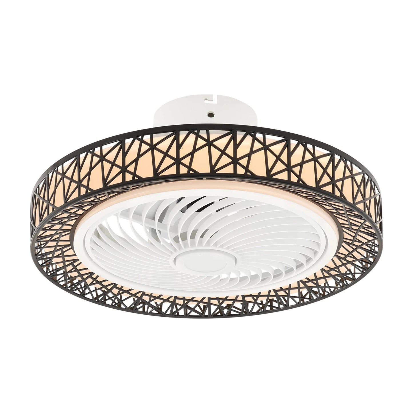 Modern Ceiling Fan Light With Remote Control For Living Spaces