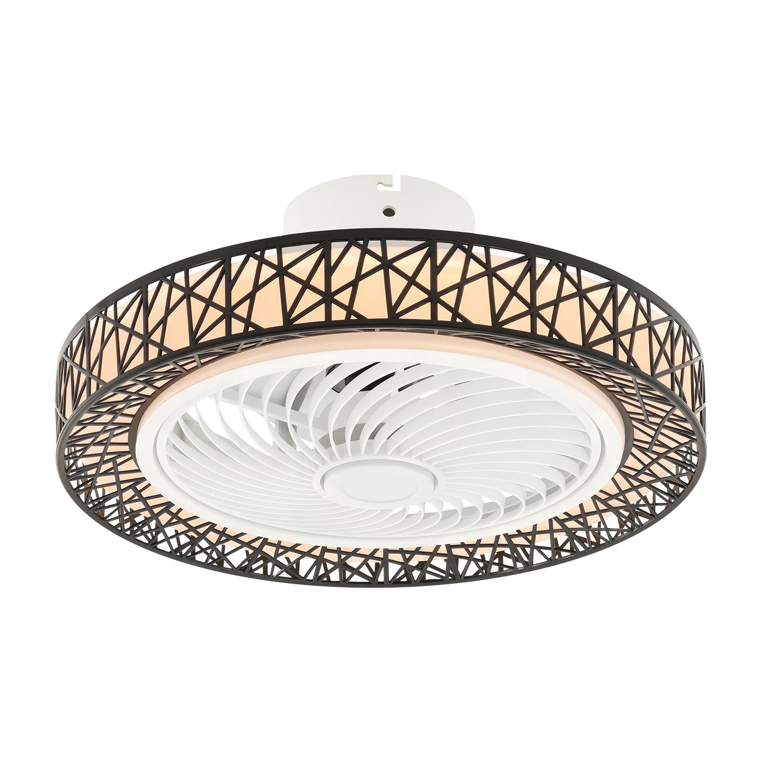 Modern Ceiling Fan Light With Remote Control For Living Spaces