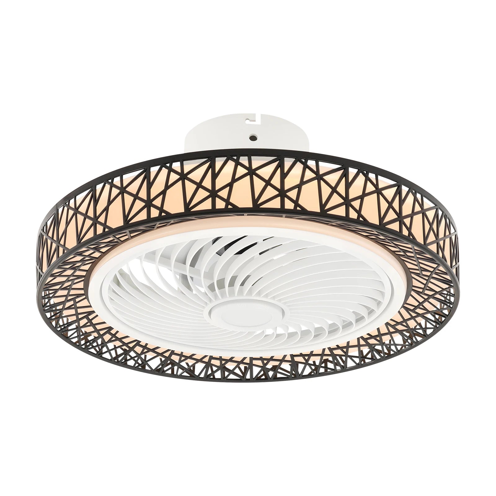 Modern Ceiling Fan Light With Remote Control For Living Spaces