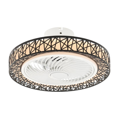 Modern Ceiling Fan Light With Remote Control For Living Spaces
