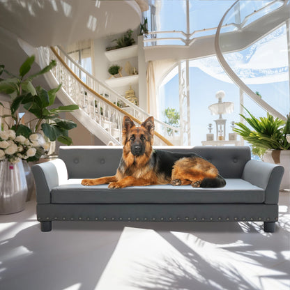 BINGOPAW Durable Elevated Rectangle Dog Bed For Pets