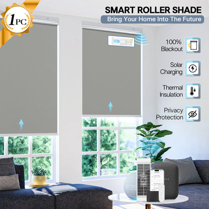 Format Electric Roller Shades With Remote Control For Windows