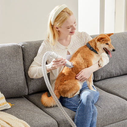 JHK 2.5L Professional Pet Grooming Vacuum Kit With Cordless Low Noise Clippers