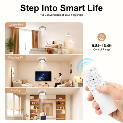 Modern Ceiling Fan Light With Remote Control For Living Spaces