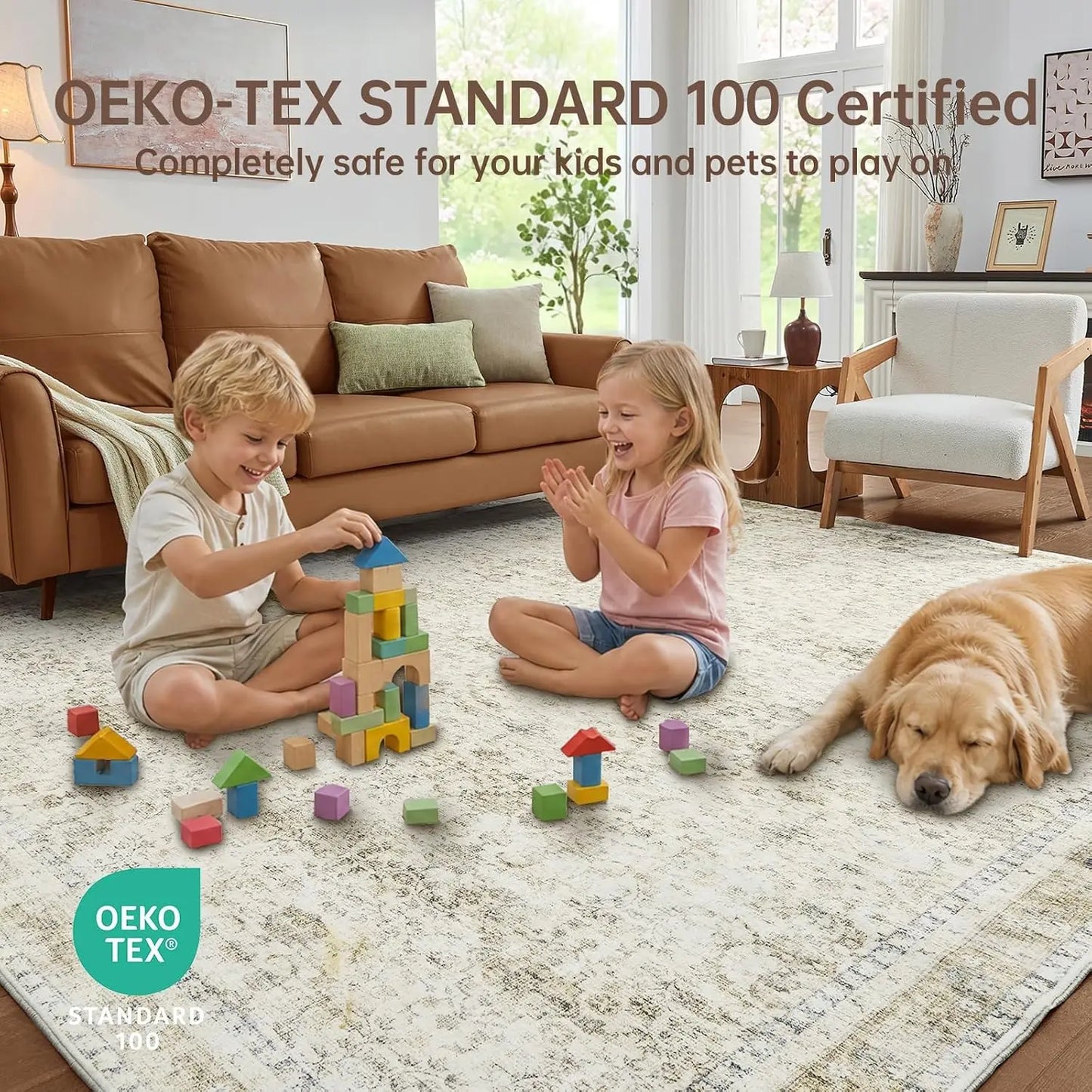Ultra Soft Washable Area Rugs Non Slip Backing Stain Resistant