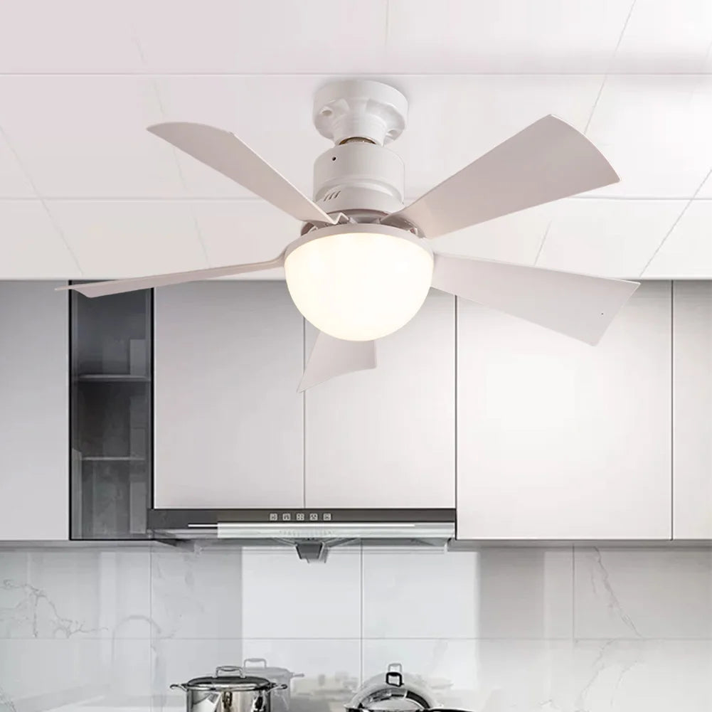 ALLOET 30W LED Ceiling Fan With Remote Control Three Speeds