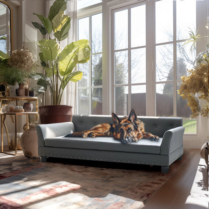 BINGOPAW Durable Elevated Rectangle Dog Bed For Pets
