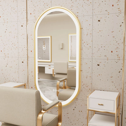 Wisfor LED Oval Vanity Mirror With Stepless Dimmable Light