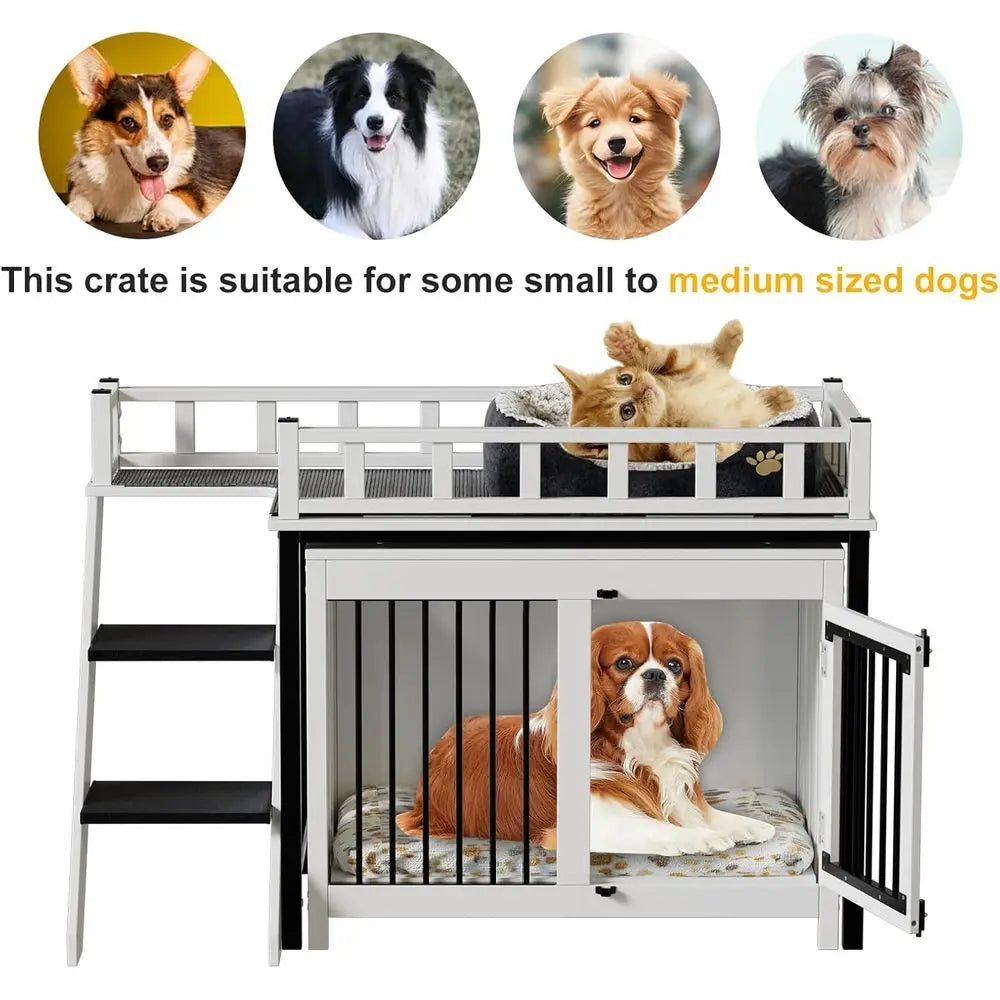 Dog Window Perch Bunk Bed With Stairs And Indoor Storage