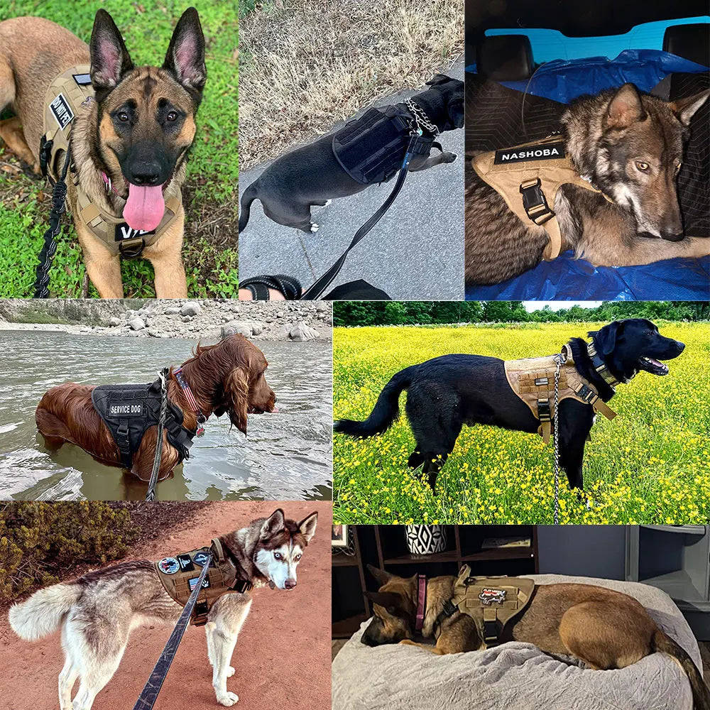 PETRAVELCN Dog Harness And Leash Set Vest Harness For Training
