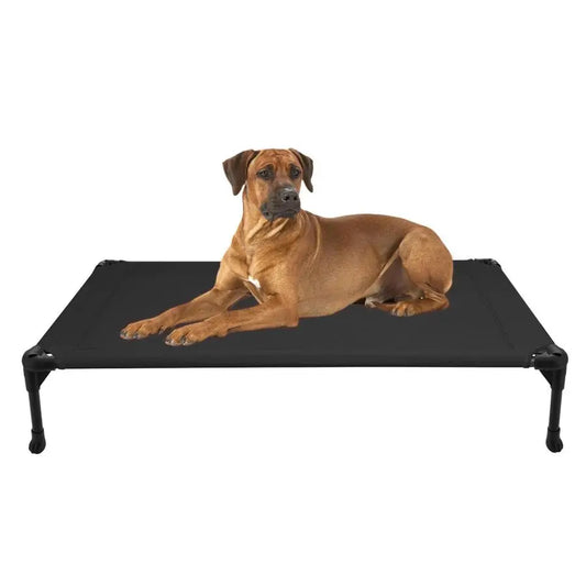 Outdoor Elevated Dog Bed With Cooling Breathable Platform