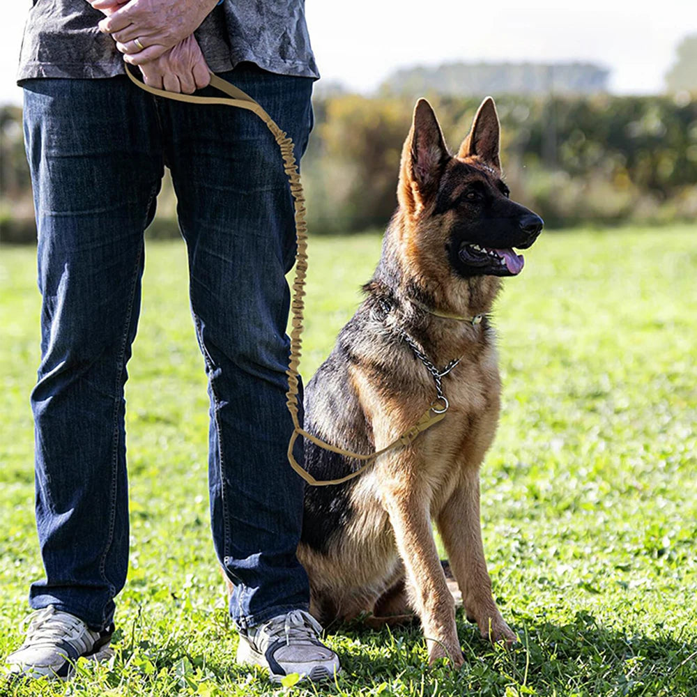PETRAVELC Military Dog Leash Adjustable Quick Release Dual Handles