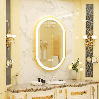 Wisfor LED Oval Vanity Mirror With Stepless Dimmable Light